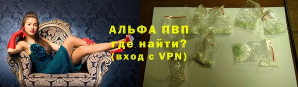 стаф Баксан