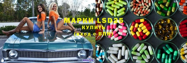 стаф Баксан